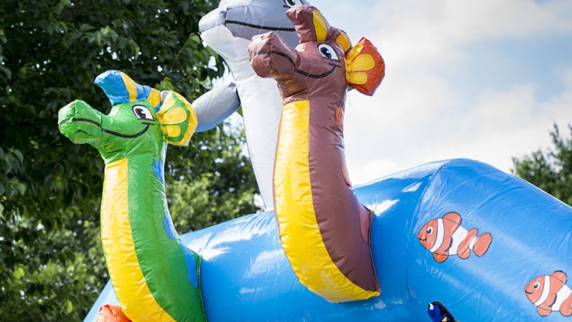 Hüpfburg Slide Combo Seaworld – Bild 2